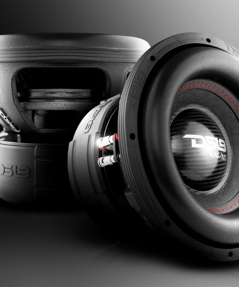 2-pack DS18 EXL-XX12.2DHE, brutalny bas 12 cali