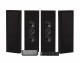 WiiM Amp, SC4B & 2 pary matowoczarnych DLS Flatbox XL WiiM Amp, SC4B & 2 pary matowoczarnych DLS Flatbox XL