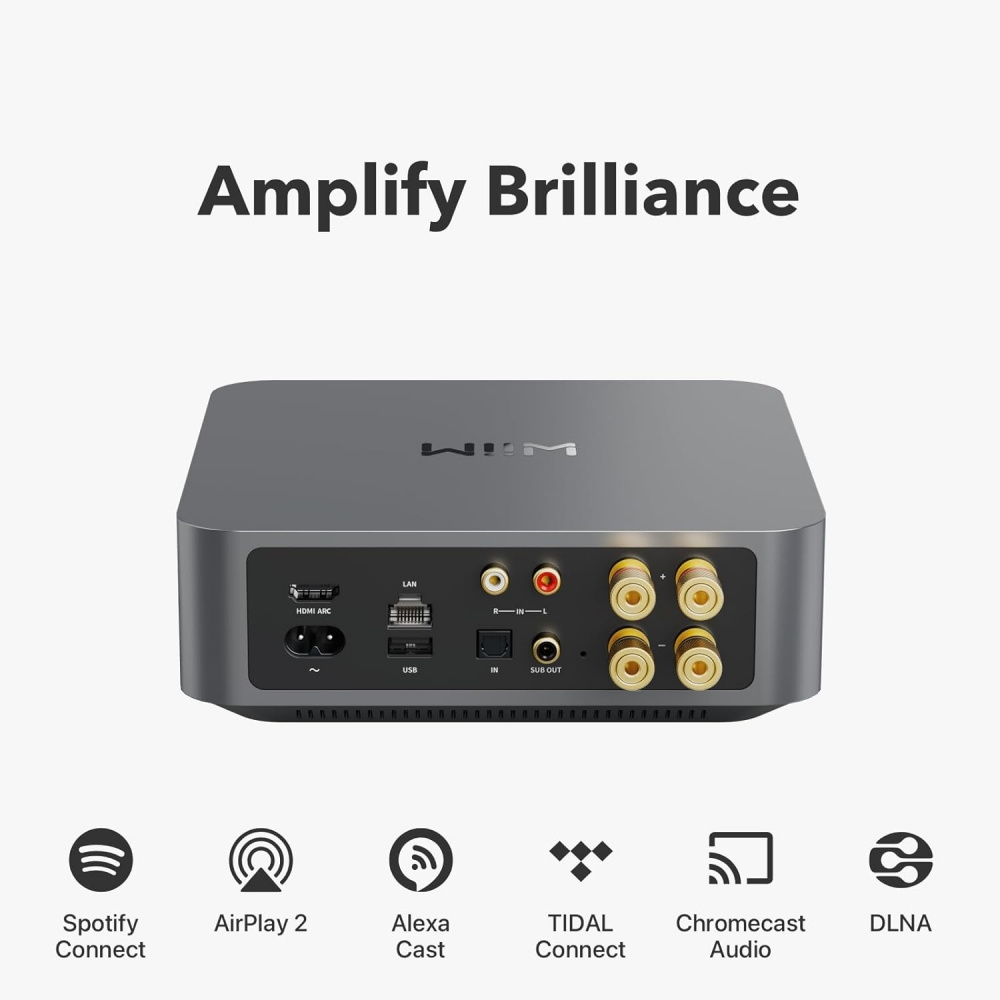 WiiM Amp z DLS Flatbox D-One, zestaw stereo 2.0 w kolorze białym