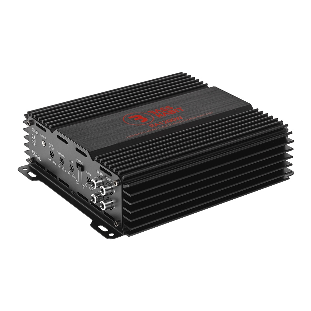 GAS MAD B1-210S z RA1200W, zestaw basowy 2x10 cali