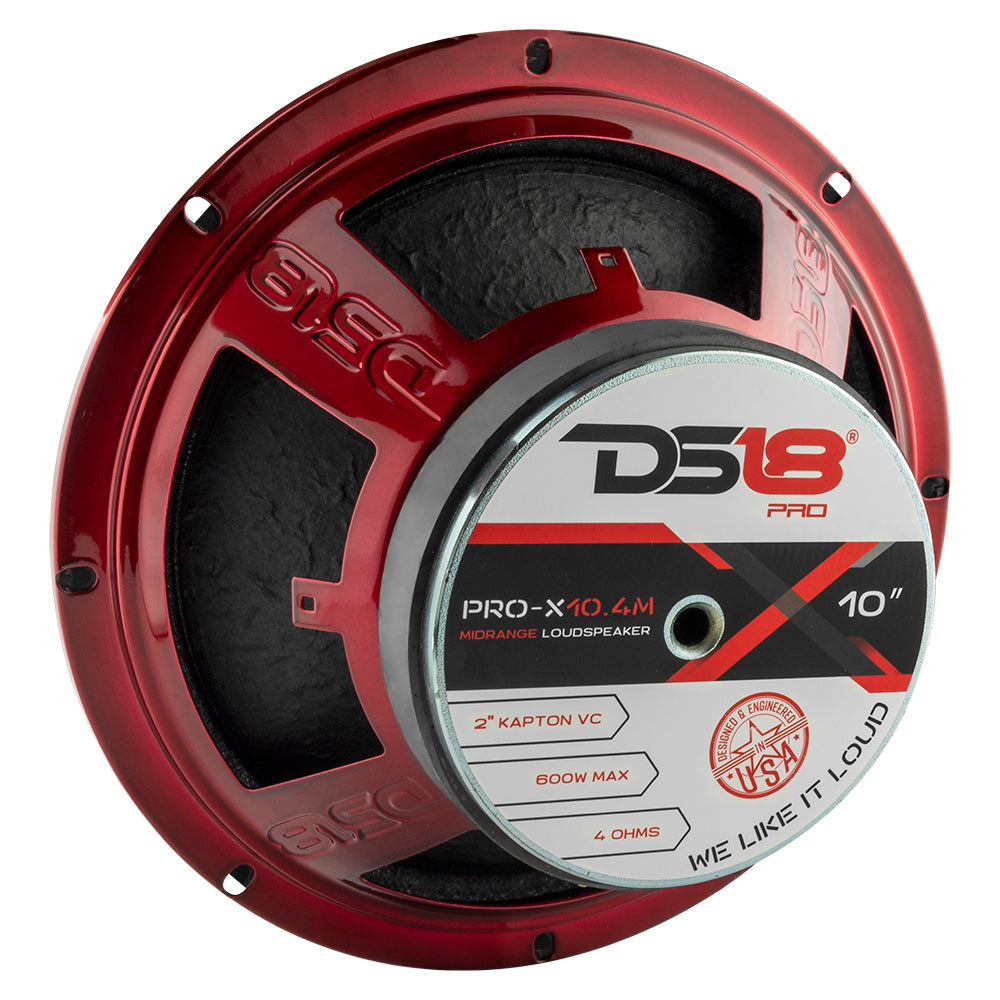 DS18 PRO-X10.4M i GTX1XL, głośna 4x10 raggars deska