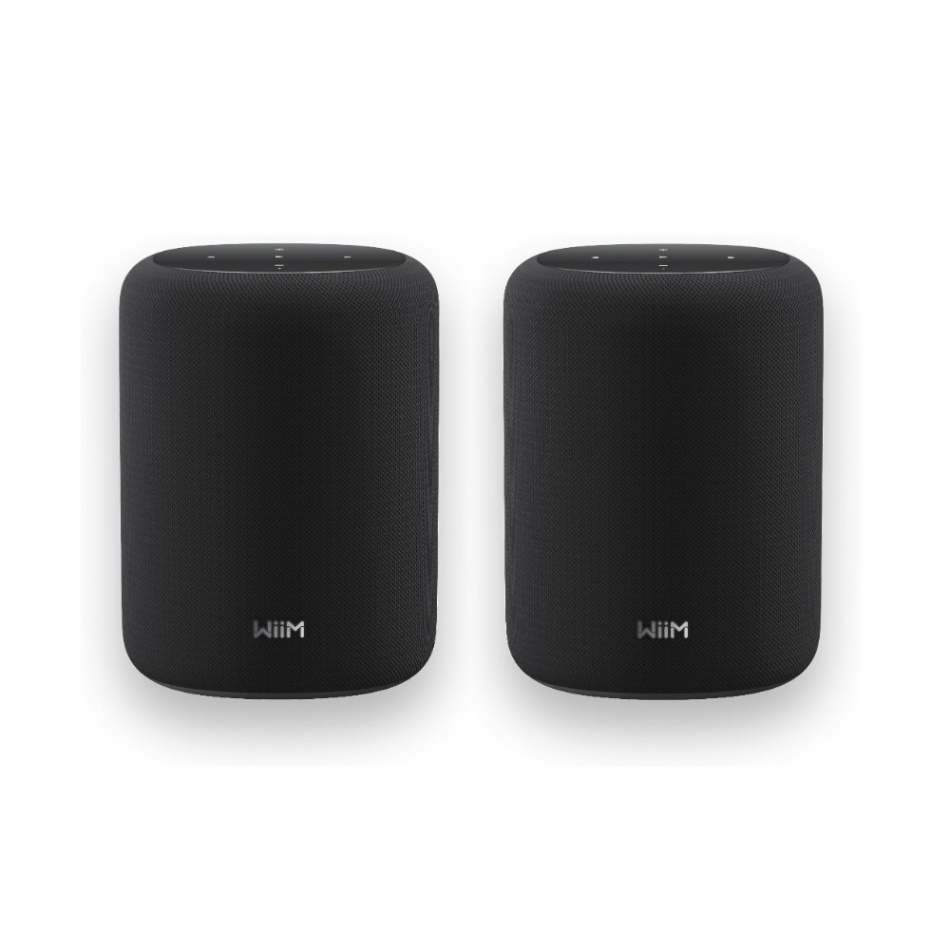 2-pak inteligentnych głośników WiiM Sound Lite, czarny