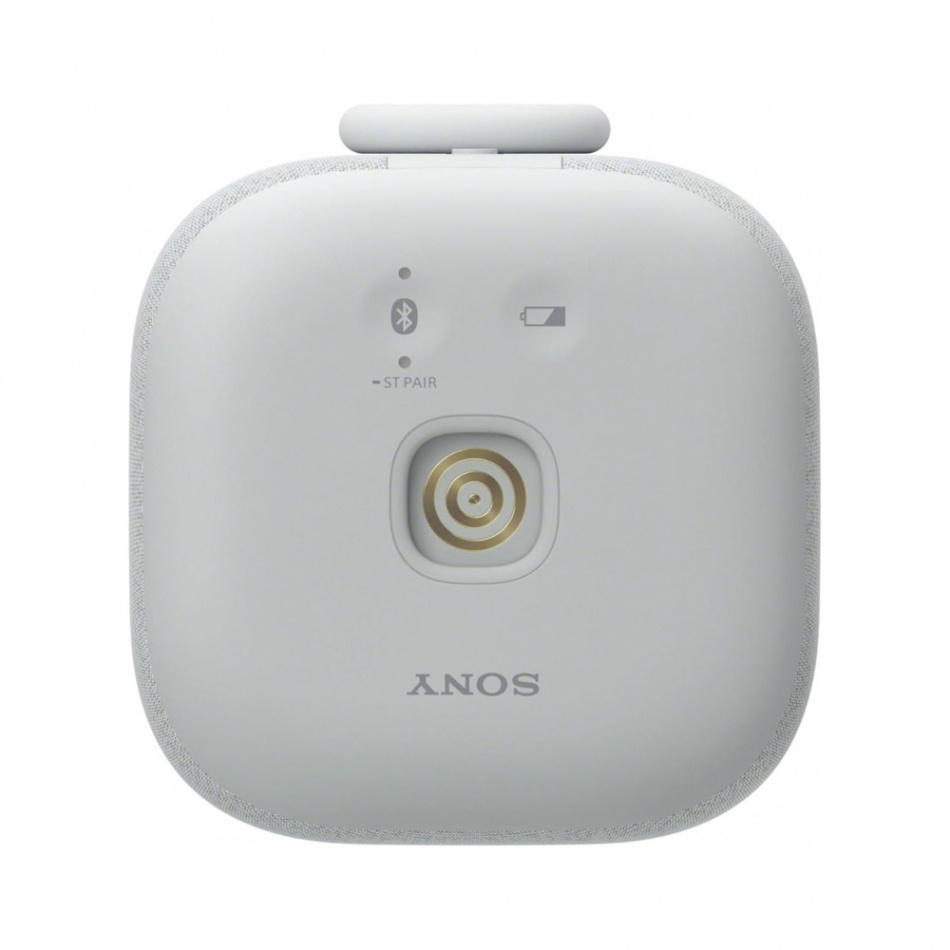 Sony LinkBuds Speaker bezprzewodowy przenośny głośnik z Bluetooth, jasnoszary 2-PACK