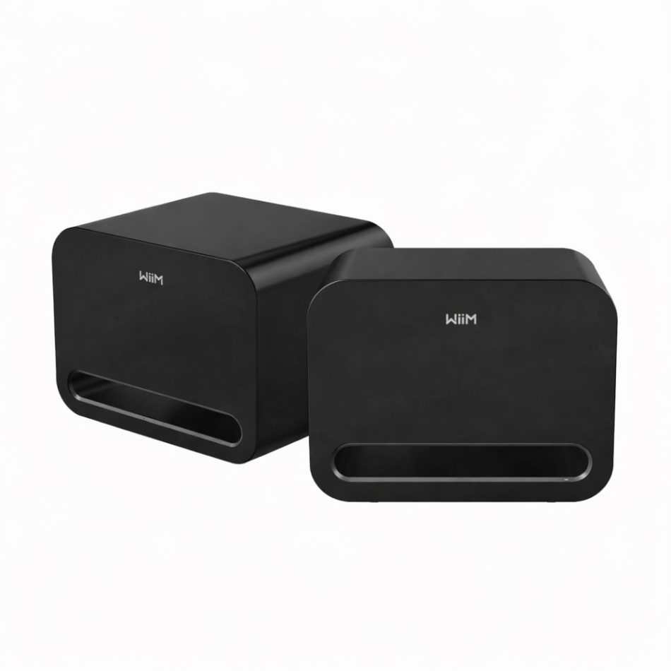 2-pak WiiM Sub Pro kompaktowy bezprzewodowy subwoofer, czarny