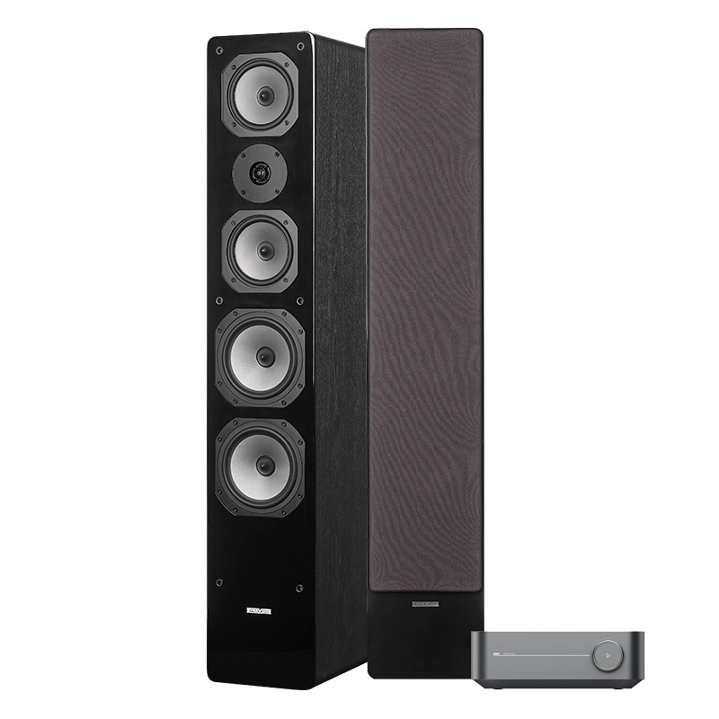 WiiM Amp i Dynavoice Challenger M-65, zestaw stereo