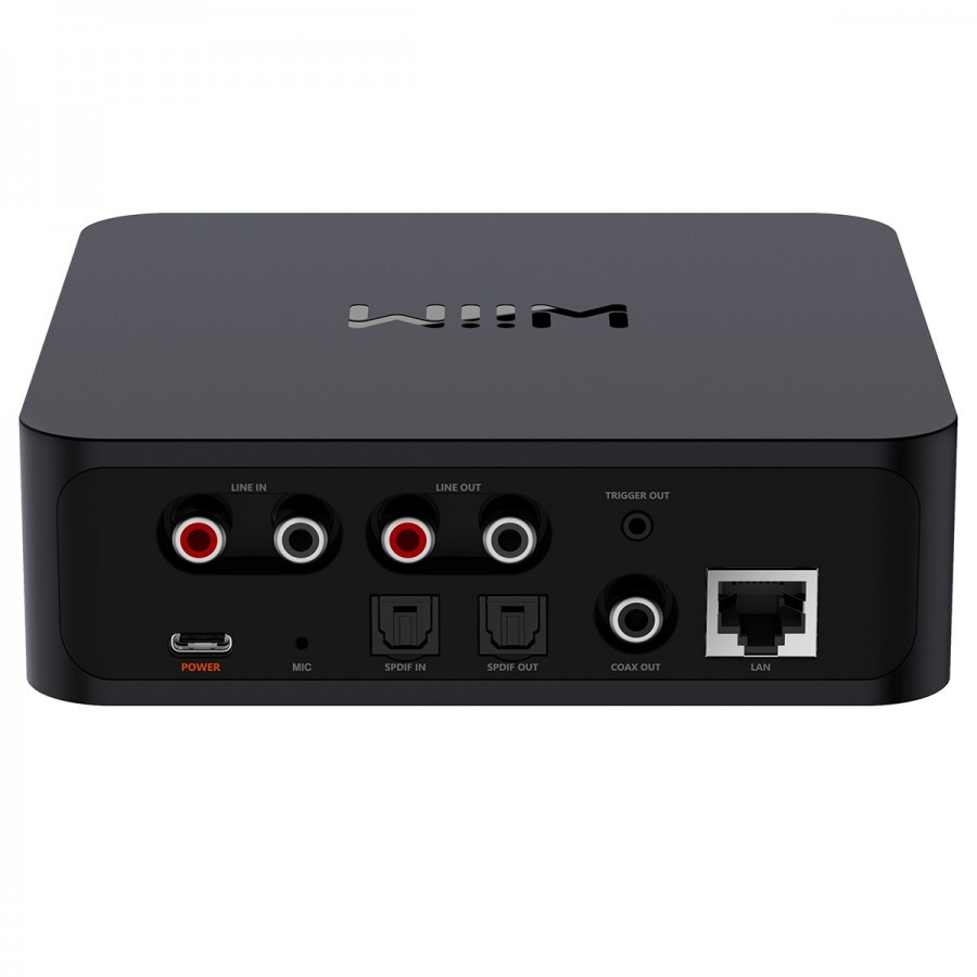 WiiM Pro z pilotem WiiM Voice Remote